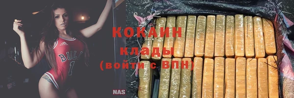молекула духа Дмитриев
