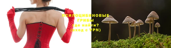 мяу мяу мука Балабаново